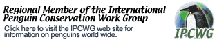 penguin photos penguin guides conservation and research information for penguins world wide at the International penguin conservation website - click here to go there