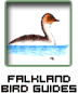 falkland islands bird guides