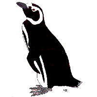 penguins