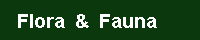 Falkland Islands Environmental Data